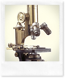 microscope