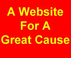 Non Profit Website www.21to21.com