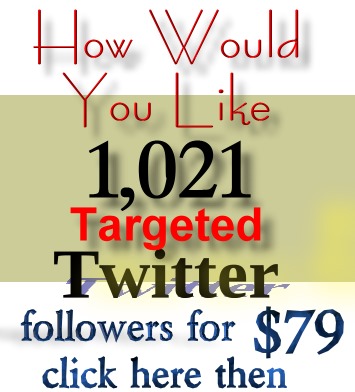 twitter Followers Profit Consultant